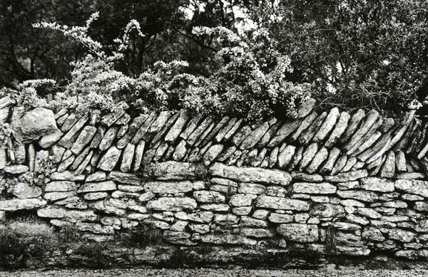 Rock Fence (France) by Bruce Zander | ArtworkNetwork.com