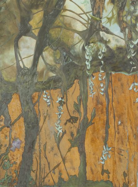 Aerial Roots by Krista Shiner | ArtworkNetwork.com