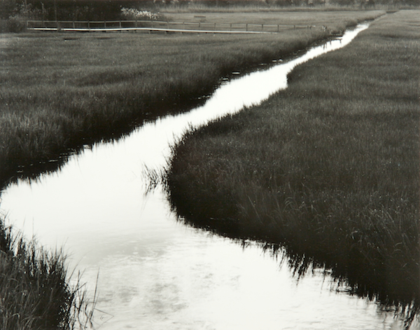 Wetland Stream (Deleware) by Bruce Zander | ArtworkNetwork.com
