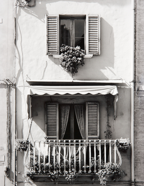 Windows in Urbino (Italy) by Bruce Zander | ArtworkNetwork.com