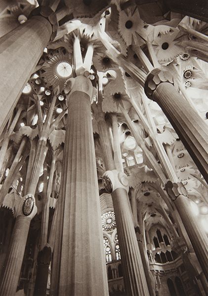 Columns in Sagrada Família (Barcelona) by Bruce Zander | ArtworkNetwork.com