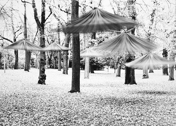 Dancing Umbrellas (Regensburg Germany) by Bruce Zander | ArtworkNetwork.com