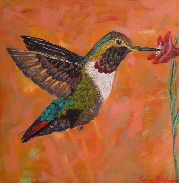hummingbird by Sarah Van Beckum | ArtworkNetwork.com