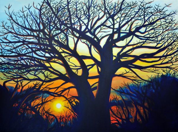 Botswana Sunset by Amanda Stavast | ArtworkNetwork.com