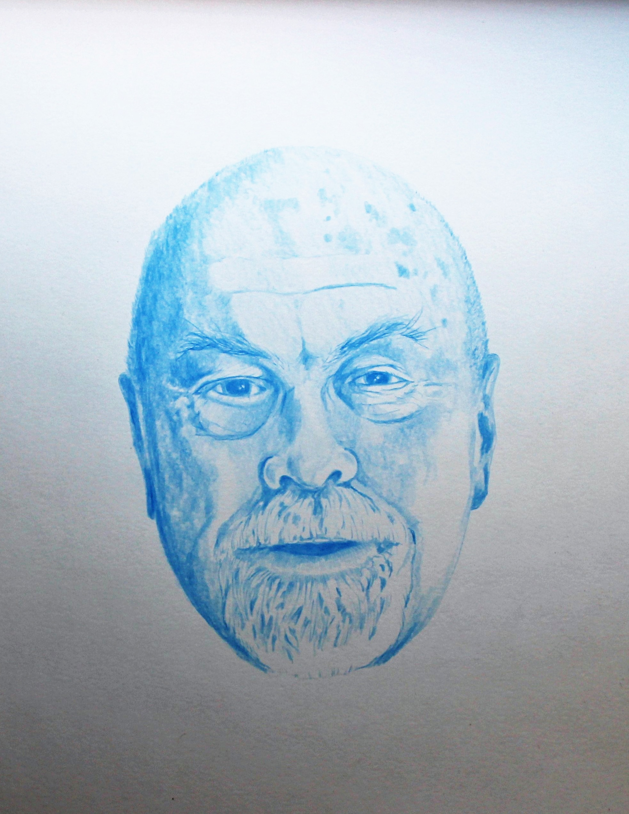 Portrait of Poppy in Blue Pencil by Troy Tagliarino | ArtworkNetwork.com